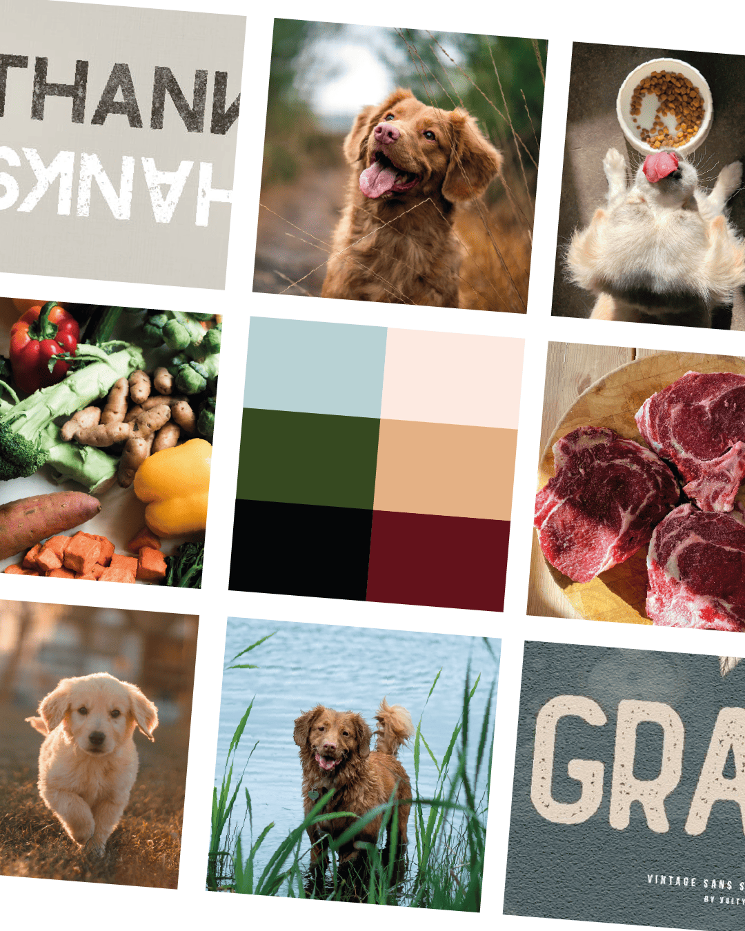 Moodboard Hundefuttermarke