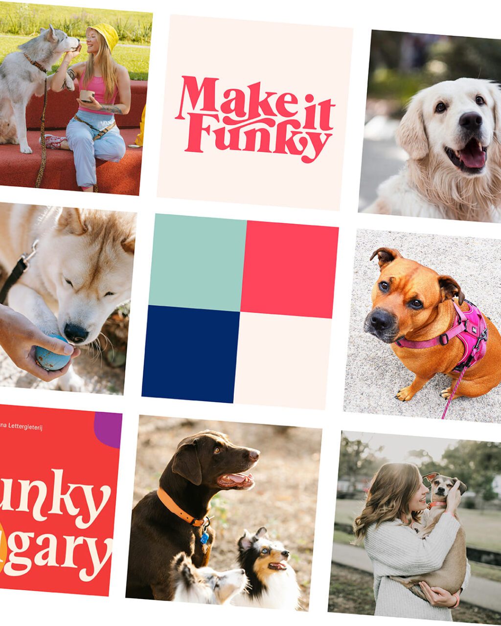 Moodboard für Hundemarke